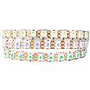 BTF-LIGHTING WS2812B IC RGB Striscia LED 5V 1m 100LED/m(100 Pixel/m) IP30