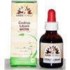 ERBENOBILI Srl FITOBLASTO CEDRUS LIBANI 50 ML