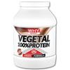 BIOVITA Srl 100% VEGETAL PROTEIN CACAO 750 G