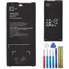 E-yiiviil Batteria di ricambio EB-BA510ABE compatibile con Samsung Galaxy A5 A510 A5100 2016 Edition 2900 mAh con strumenti