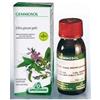 Specchiasol Gemmosol 36 Ribes Nero 50 ml