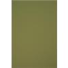 Netuno 25 fogli cartoncino colorato verde formato A4 210x 297 mm 160g Circolor Rosemary cartoncino riciclato stampabile cartoncino ecologico fogli a4 cartoncino colorato per stampante