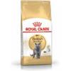 Royal Canin British Shorthair Adult - Sacchetto da 2kg