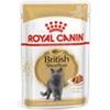 Royal Canin British Shorthair umido - 24 lattine da 85 gr