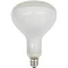 Flos Lampadina LED E27 R125 12W 2700K Dimmerabile per Luminator