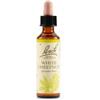 Schwabe Pharma Italia Bach White Chestnut essenza di ippocastano per tranquillità mentale 20 ml