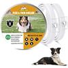 Surglam Collare Antipulci e Zecche per Cani, Collare Regolabile Impermeabile, 8 Mesi di Protezione, Soluzione Naturale Contro i parassiti per Cani, Taglia Unica per Tutti (Weiß-2 pz)