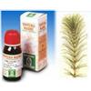 Equiseto 12 50ml tm
