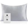 RUIPTSKE Federa per cuscino al 100% in seta da 22 momme, certificata Oeko-TEX®, benefica per i capelli e per la pelle, anti età e antiacaro, 40 x 60 cm (grigio)