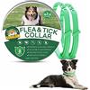 Surglam Collare Antipulci Cani, Collare Antiparassitario per Cane, Collare Antipulci e Zecche per Cani, Collare Regolabile Impermeabile, 8 Mesi Di Protezione, 70 cm Taglia Unica