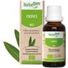 Pranarom Herbalgem Gemmoderivato Di Olivo 30 Ml