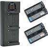 DSTE DE DSTE 2 batterie di ricambio NP-FM50 + caricatore USB doppio con display LCD compatibile con Sony NP-FM30 NP-FM51 CCD-TR108 CCD-TR208 CCD-TR408 CCD-TR748 CCD-TRV106 CCD-TRV107