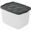 Sicignano Casalinghi Ingrosso Casalinghi Sicignano | Contenitore Organizer Storage Box Scatola Multiuso con Coperchio Colori Assortiti, Plastica Trasparente, Impilabile, Rettangolare - Soggiorno Camera da Letto Vestiti (18 lt, 1)