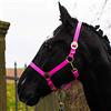 Pferdelinis Cavezza per cavallo, sangue caldo, purosangue, sangue freddo, cavezza per stalla, cavezza per pascolo, 2 posizioni regolabili su sottogola e nuca, sicura e antistrappo (rosa, mini shetty)