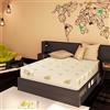 Baldiflex Emporio Materasso Memory Matrimoniale Duck, con Rivestimento in Aloe Vera, Misura 140x190x25 cm