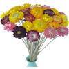 TooGet 40 Pezzi di Margherite Essiccate Naturali, Bouquet di Fiori di Margherita Essiccati con Stelo per la Composizione di Fiori Fai da te per Feste in Ufficio a Casa di Nozze