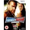 THQ WWE Smackdown vs. Raw 2009 (Wii) [Edizione: Regno Unito]