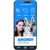 Brondi Amico Smartphone S+ 2/16GB 4G - (Garanzia Italia - No Brand)