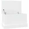 Tidyard Contenitore Portaoggetti, Box, Baule Multiuso, Cassapanca in Legno, da Interno, Bianco 50x30x28 cm Multistrato