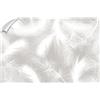 Generico Art Murals Carta da parati delicate piume bianche Foglie e piume Fotomurali 420x280 cm per camere da letto, cucine, soggiorni, dei bambini