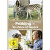 OneGate Media GmbH Frühling - Ein Zebra im Gepäck