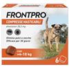 FRONTPRO 6 Compresse Masticabili Antiparassitario per Cani di Peso > 4-10 kg Protegge da Pulci Zecca Uova e Larve Antipulci in Confezione da 6 Compresse da 28.3 mg di Afoxolaner