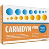 ALFASIGMA SpA Carnidyn plus 20 bustine da 5 g gusto arancia - CARNIDYN - 930525771