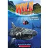 Melissa Cristina M�rquez Swimming with Sharks (Wild Survival #2) (Tascabile)
