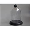 Stand Orologio da Taschino Supporto Vetrina Campana Porta Tasca Sottotipo Globe