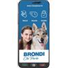 BRONDI Smartphone Brondi Amico Smartphone S+ black nero