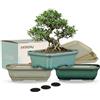 FFPOPU Piccoli vasi per bonsai in ceramica con vassoio di drenaggio, 3 plettri da 15,2 cm, vaso per bonsai con glassa incrinata di ghiaccio, mini vaso per bonsai per la decorazione da tavolo di alberi