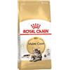 Royal Canin Maine Coon Adult Alimento Secco Per Gatti 4kg Royal Canin