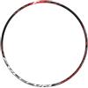 Fulcrum Cerchio Red passion 29'' posteriore nero
