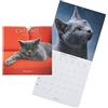 DRAEGER - Grand calendrier mural Chats - 2023, Blanc, 79008000