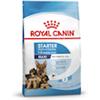 Royal Canin Maxi Starter mother and babydog - Sacco da 15kg.