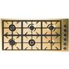 Foster Piano cottura a gas 7639 009 finitura acciaio PVD gold da 115 cm