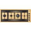 Foster Piano cottura a gas 7681 009 finitura acciaio PVD gold da 111 cm