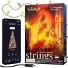 Twinkly Strings USB-C Candle 100 LED, Striscia Luci LED a Forma di Candela, Luci LED Multicolore RGB, Luci San Valentino, Compatibile con Alexa, Google Home, Luci Mappabili, USB C, Filo Verde, 6m