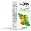 Arko capsule garcinia camb 45 capsule - ARKOFARM - 922390796