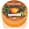 Kringle Candle Sicilian Orange 42 g