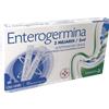 Enterogermina orale sosp 10 flaconcini 2 mld 5 ml