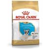 Royal Canin French Bulldog Puppy Alimento Secco Per Cani Cuccioli 1kg