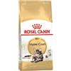 Royal Canin Maine Coon Adult Alimento Secco Per Gatti 4kg Royal Canin Royal Canin