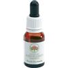 Green Remedies Fiori Australiani Bush Fuchsia Gocce 15ml