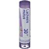 Boiron Laboratoires Boiron Lachesis Mutus 30Ch Granuli