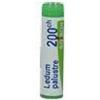 Boiron LEDUM PALUSTRE 200CH GLOBULI