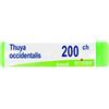 BOIRON THUYA OCCIDENTALIS 200 CH GLOBULI