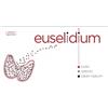 Antrivex EUSELIDIUM 30 COMPRESSE 300MG