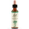 Schwabe Pharma CENTAURY BACH ORIG 20 ML