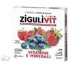 FALQUI PRODOTTI FARMAC. SpA ZIGULI VIT FRUTTIBOSCO 40 CONFETTI